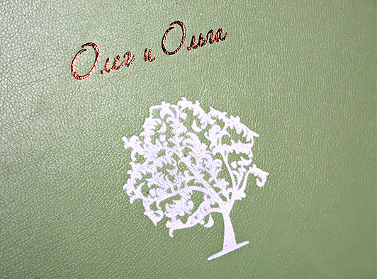 Цветной фольгой тиснение на обложке